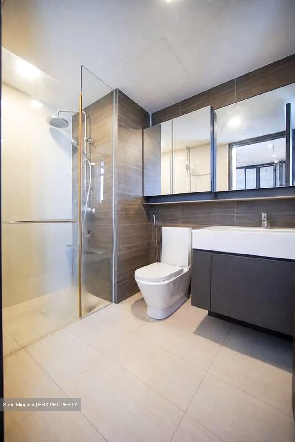 Botanique At Bartley (D19), Condominium #594474511